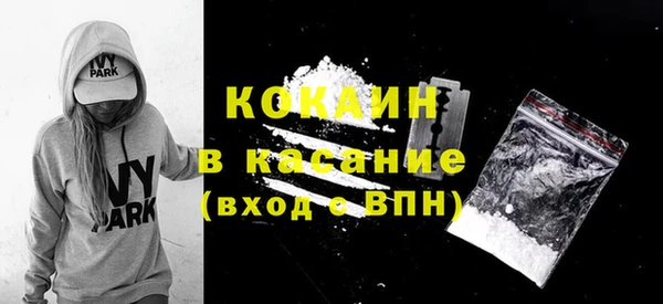 сатива Корсаков
