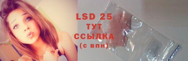 шишки Краснотурьинск
