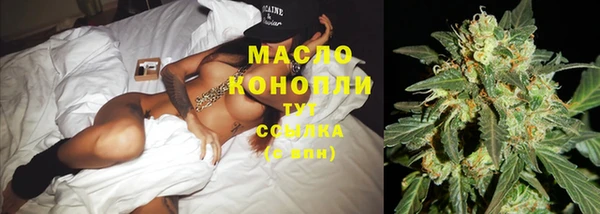 шишки Краснотурьинск