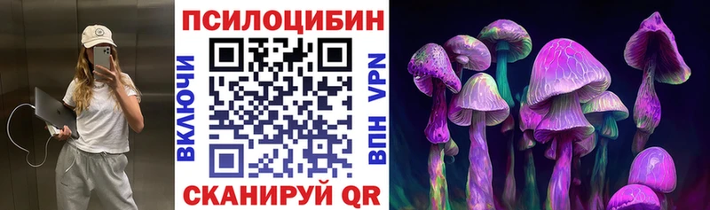 нарко площадка какой сайт  Красновишерск  Псилоцибиновые грибы Psilocybine cubensis  цена  